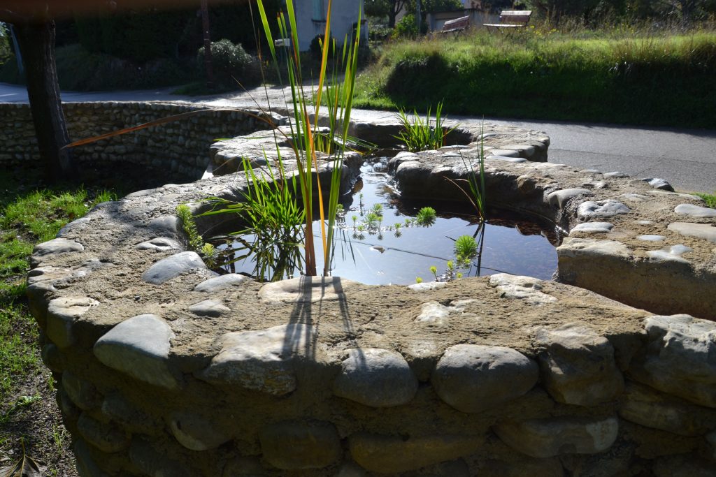 bassin en pierre, à mi-parcours du chemin de l'eau; plantés en iris d'eau